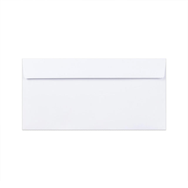 DL White Envelope (110 x 220mm)