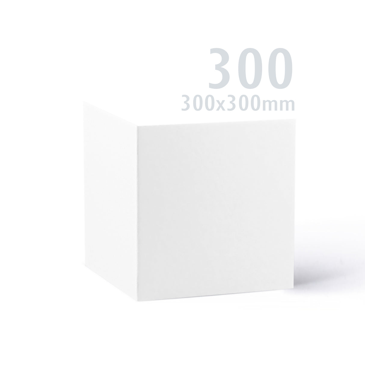 300x300 Biela Premier kartička 250 g/m² balenie