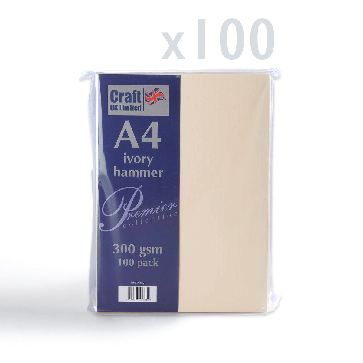 Kartička 300 g/m² balenie 100 ks