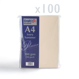 Kartička 300 g/m² balenie 100 ks