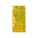 Holografické fóliové obálky